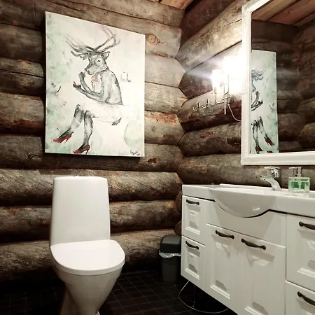 Napapiirin Jaervilomat *