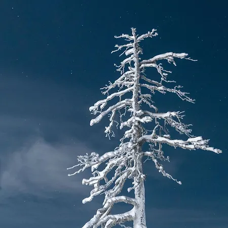 Napapiirin Jaervilomat אתר נופש *