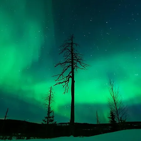 منتجع Napapiirin Jaervilomat Luukonniemi