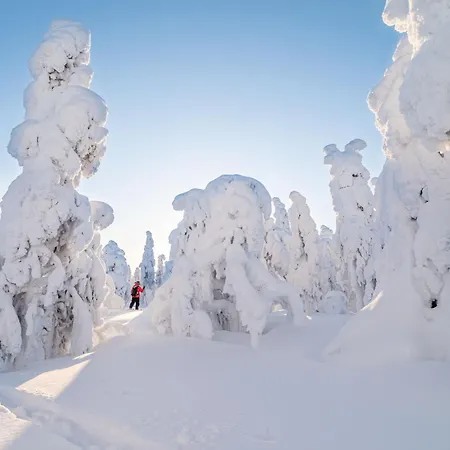 Napapiirin Jaervilomat *