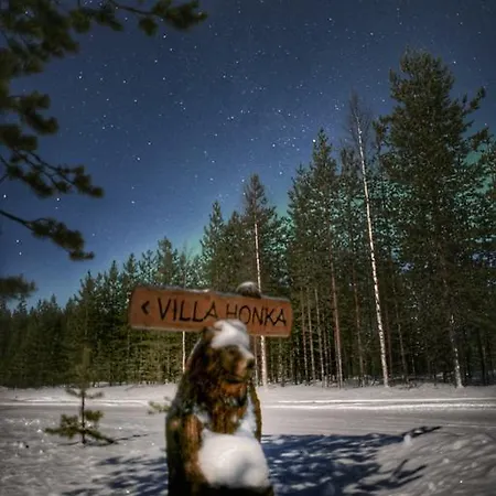 Napapiirin Jaervilomat Luukonniemi