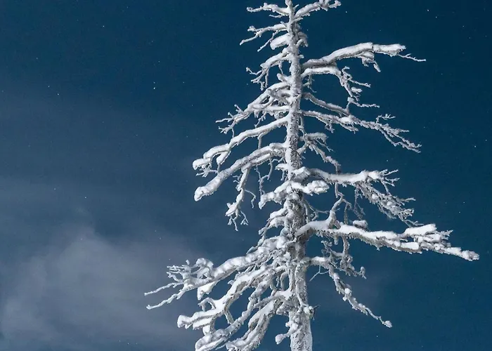 ナパピーリン ヤルヴィロマット リゾート *