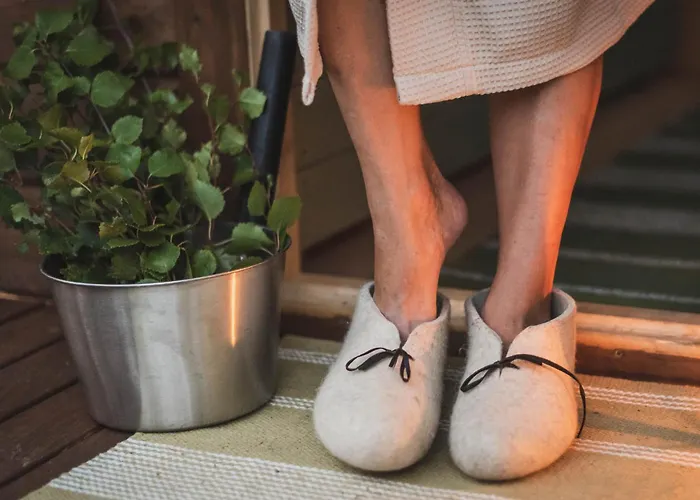 ナパピーリン ヤルヴィロマット リゾート Luukonniemi