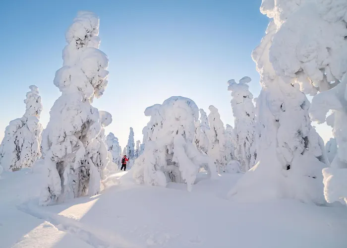 ナパピーリン ヤルヴィロマット *