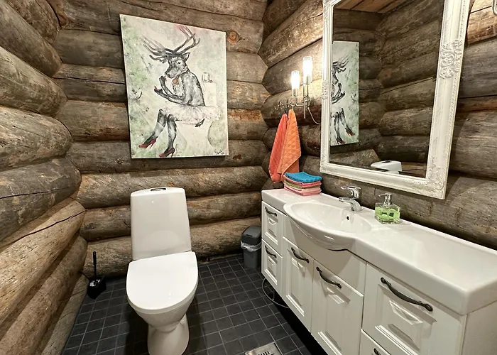 ナパピーリン ヤルヴィロマット リゾート Luukonniemi